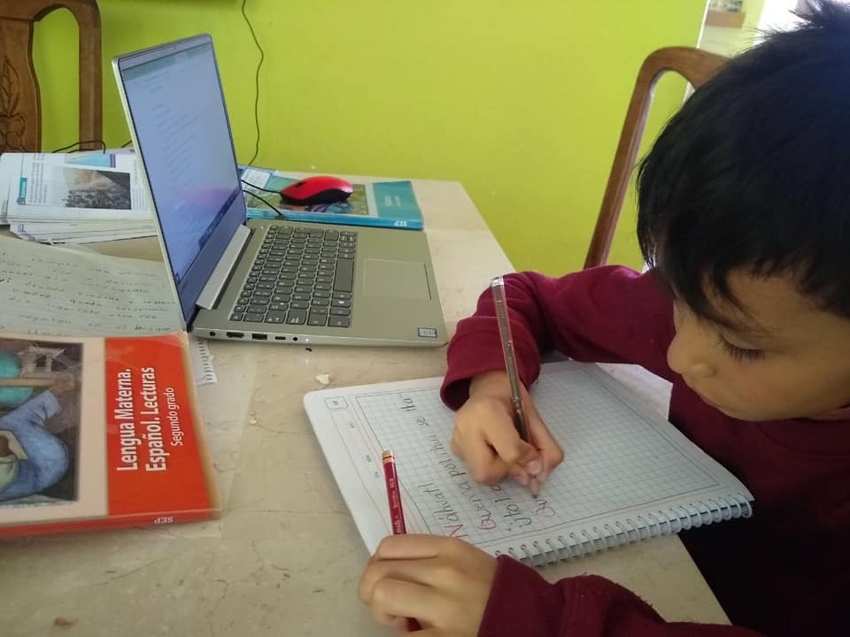 estudiantes de educación básica