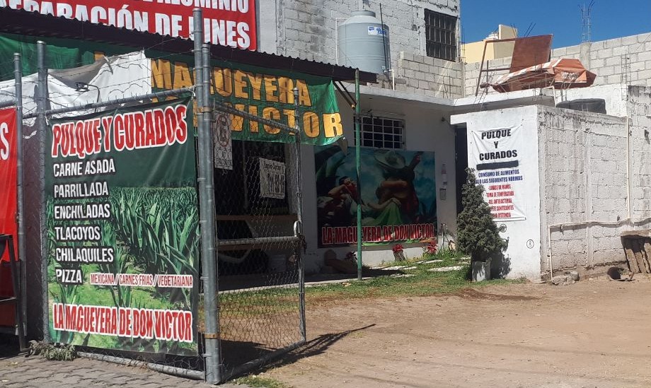 Pulquería en Pachuca se mantiene abierta a pesar de medidas anti contagios por COVID-19