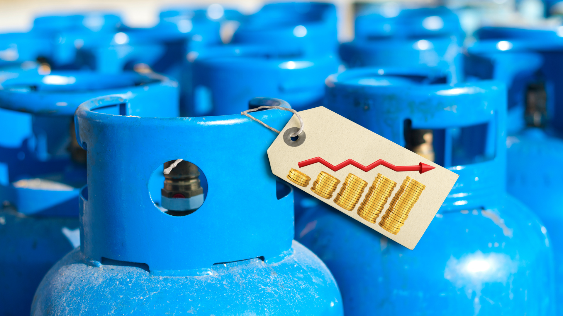 Control sobre el precio gas LP