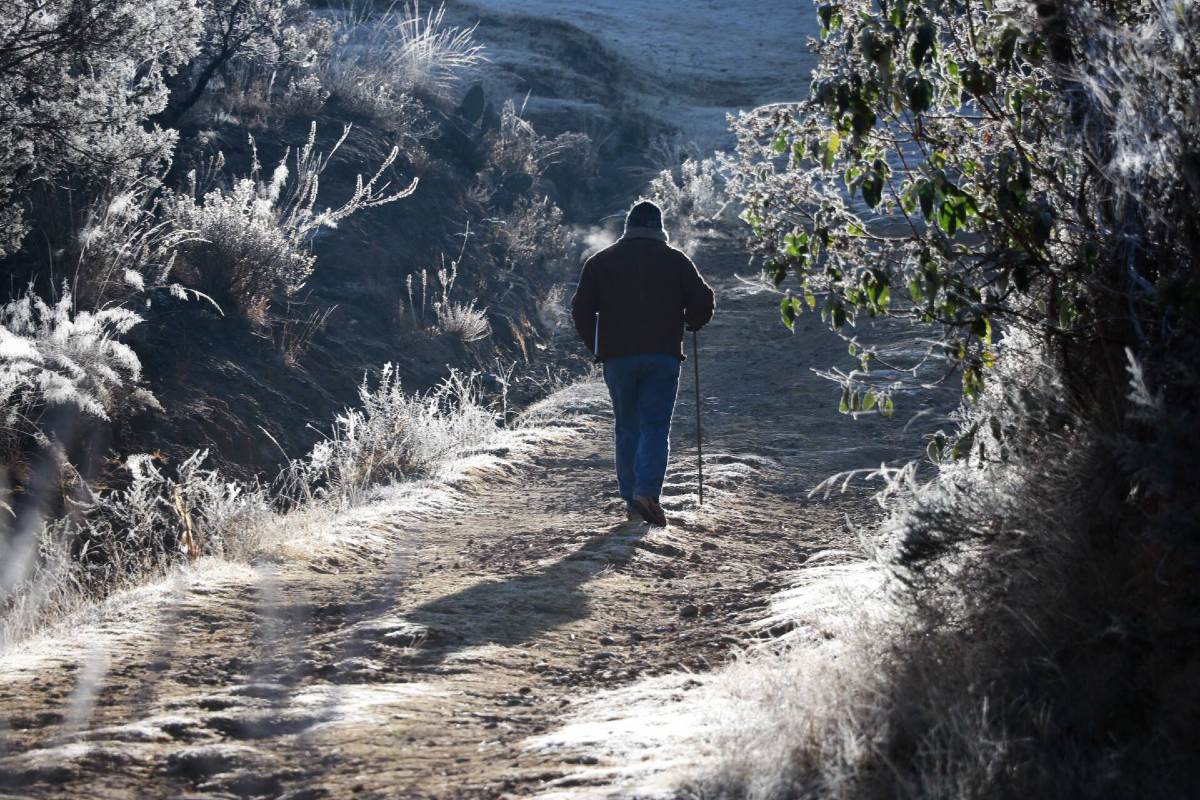tormenta-invernal-smn-estados-territorio (1)