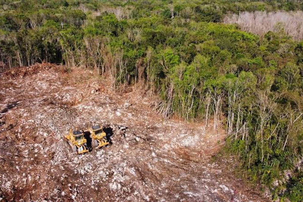 tren-maya-tramo-5-impacto-ambiental-amparo-mexico