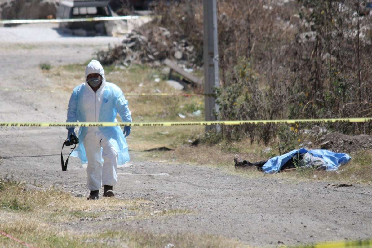 seguridad-delitos-informe-mensual-rosa-icela-rodriguez