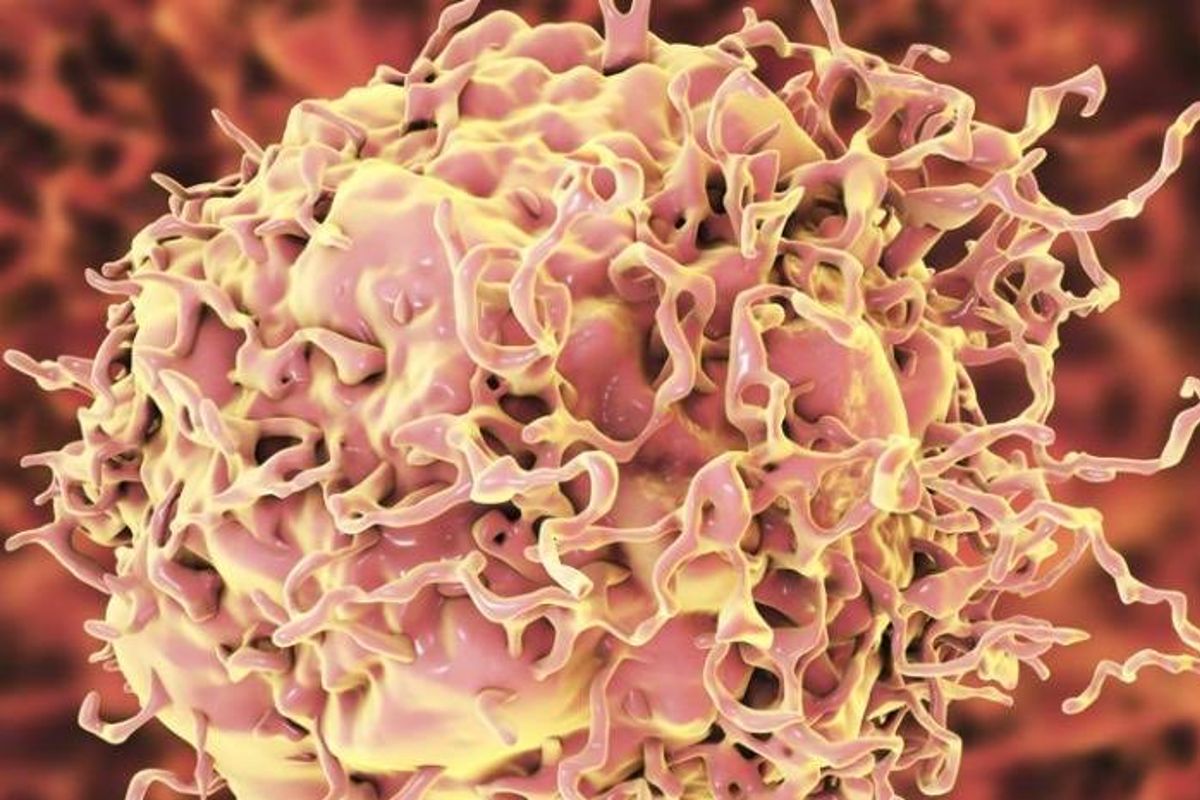 cancer-rectal-enfermedad-dostarlimab 1