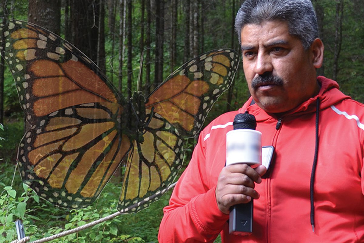 netflix.-homero-gomez-serie-activista