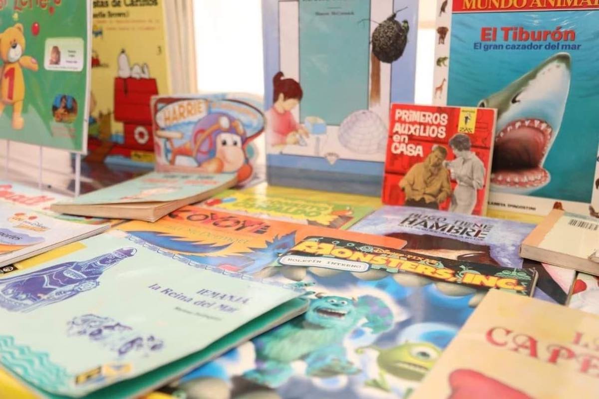 arranca-biblioteca-Itinerante-mineral-reforma