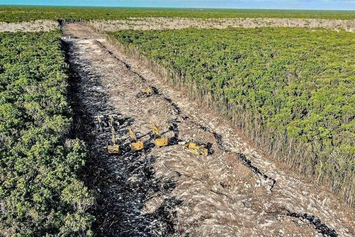 tramo-5-acciona-infraestrucutra-tren-maya-grupo-mexico