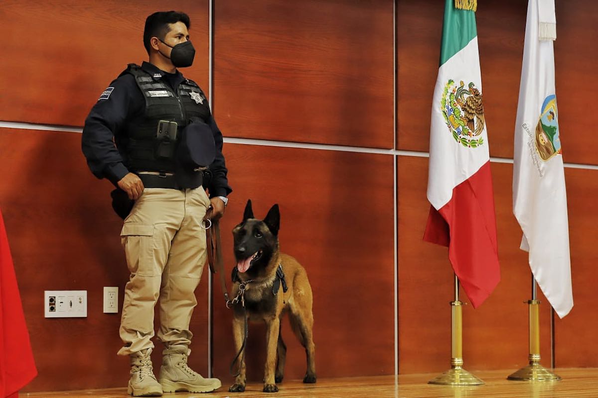baños-ceremonia-retiro-agente-canino-policía-municipal