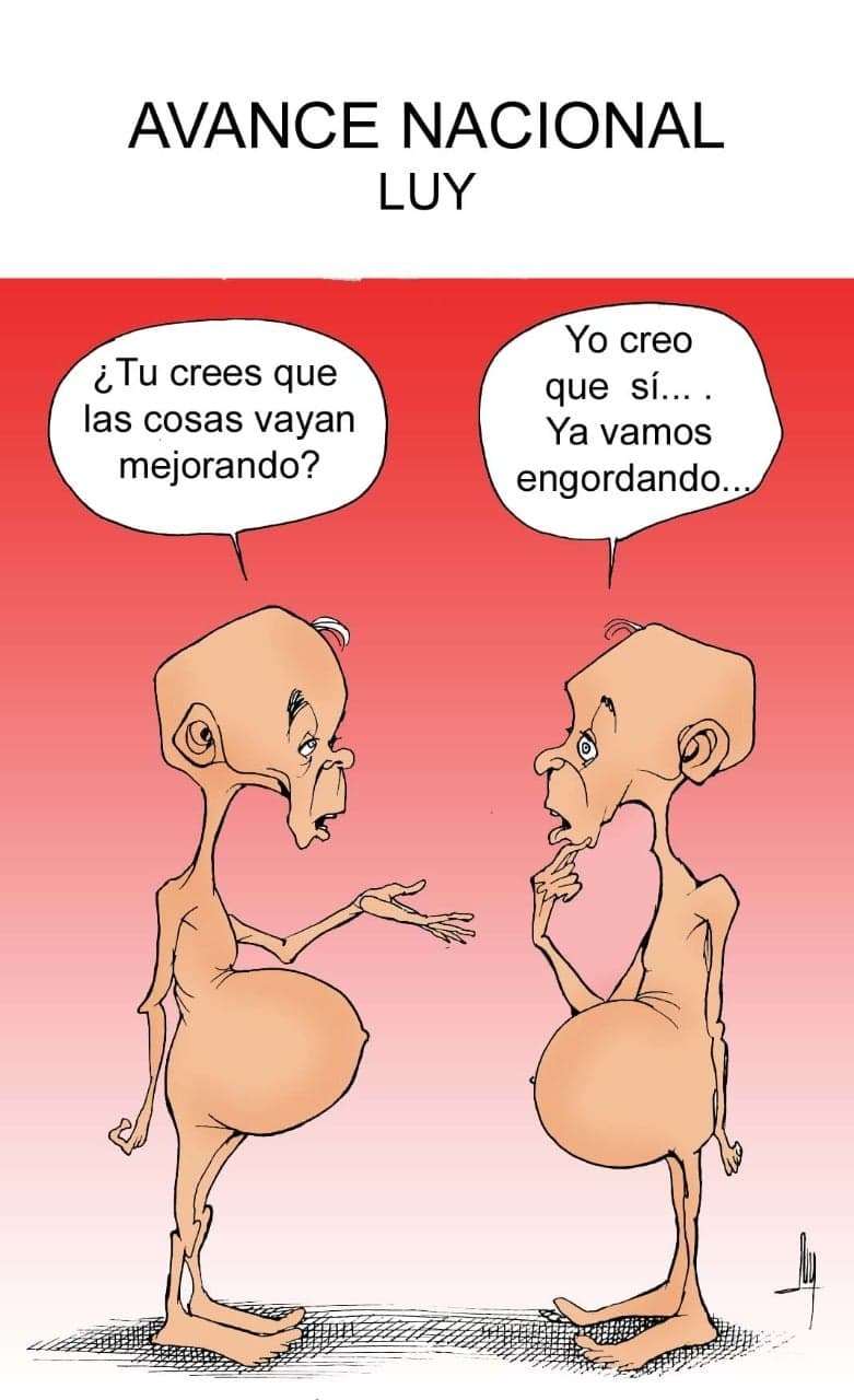 carton-del-dia-aires-de-hidalgo-luy