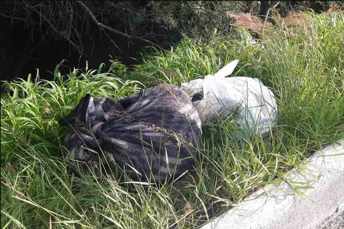 localizan-restos-humanos-paraje-tula-hidalgo