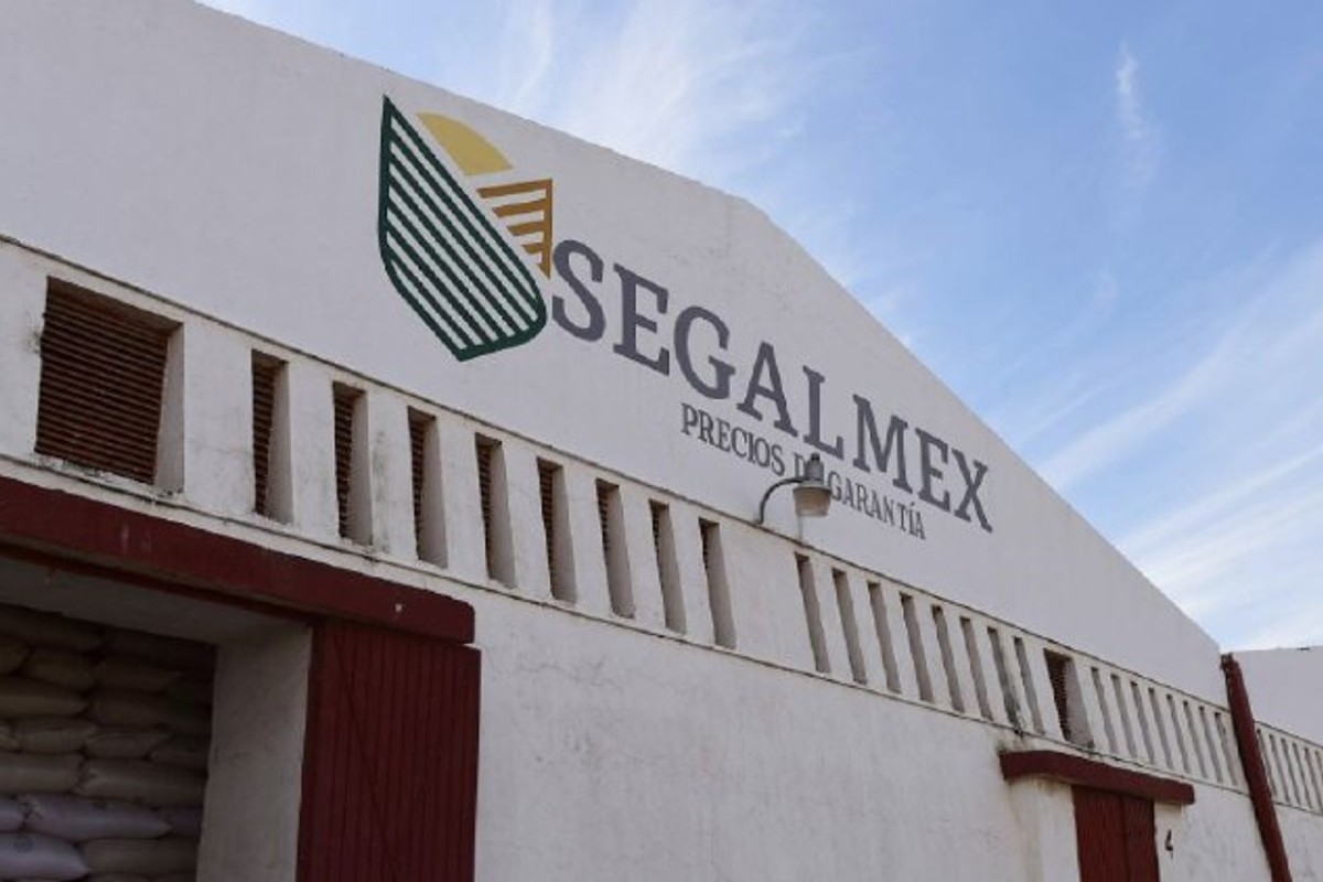 sfp-segalmex-fgr-denuncias