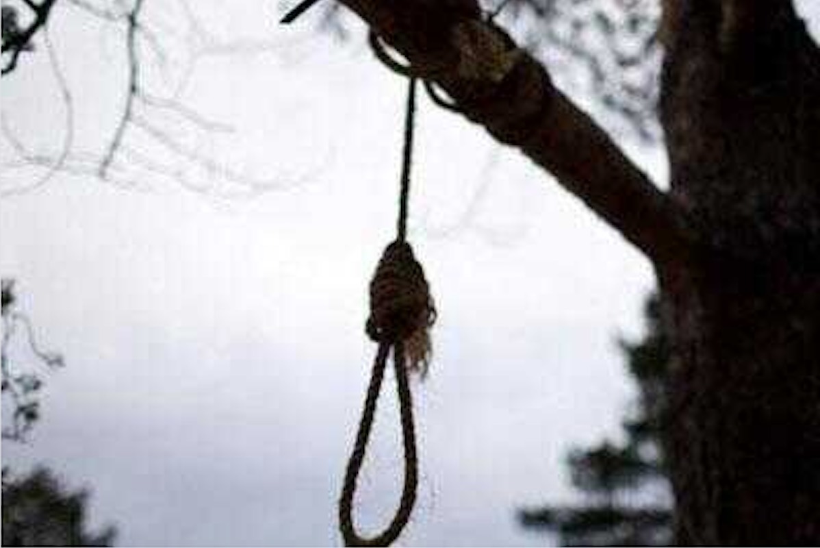 tepetitlán-localizan-persona-colgada-arbol