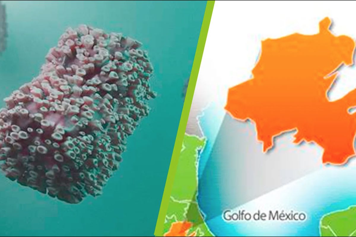 confirman-tercer-caso-viruela-mono-hidalgo