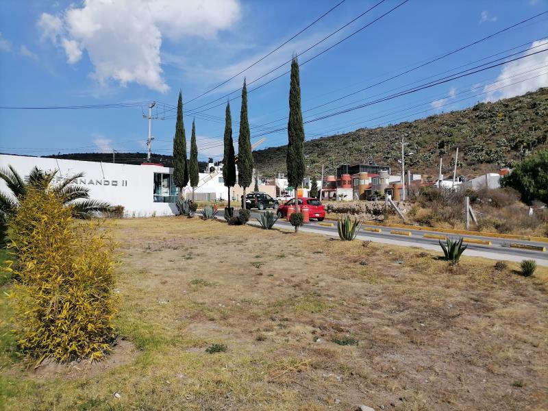 mineral de la reforma