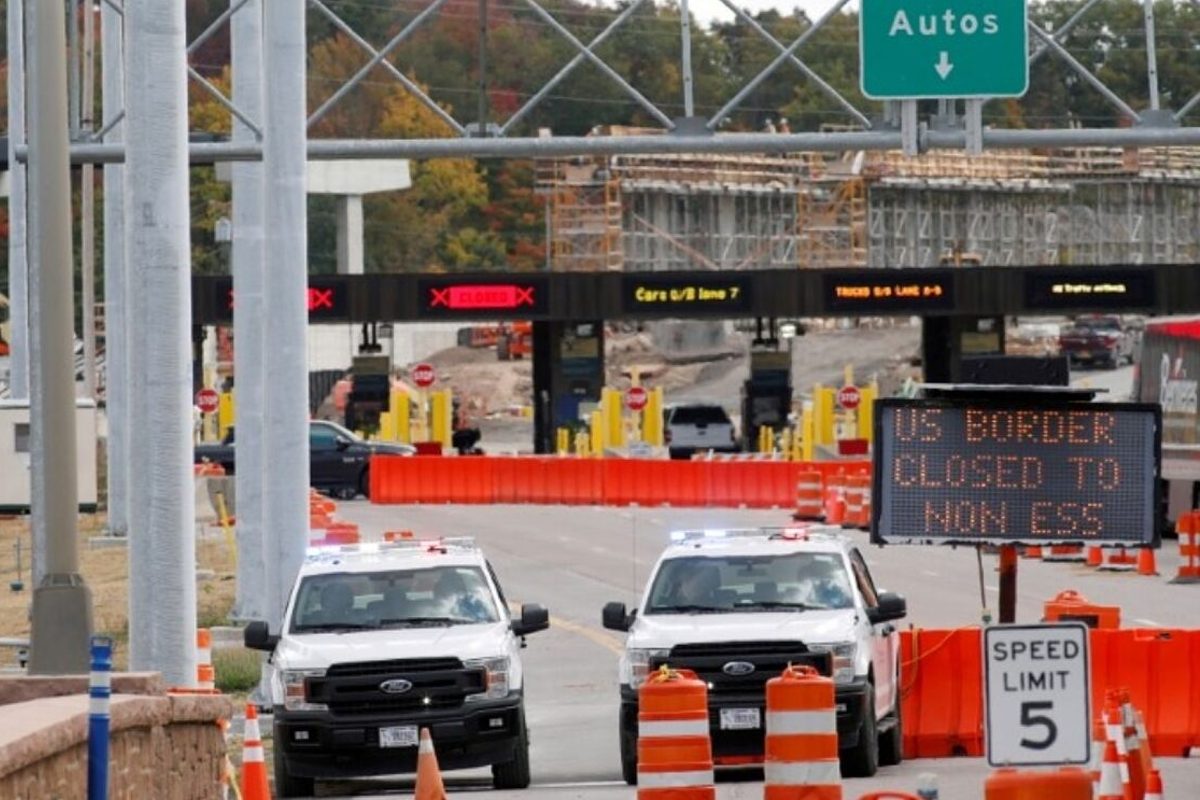 estados-unidos-cerdo-miniatura-mexico 1