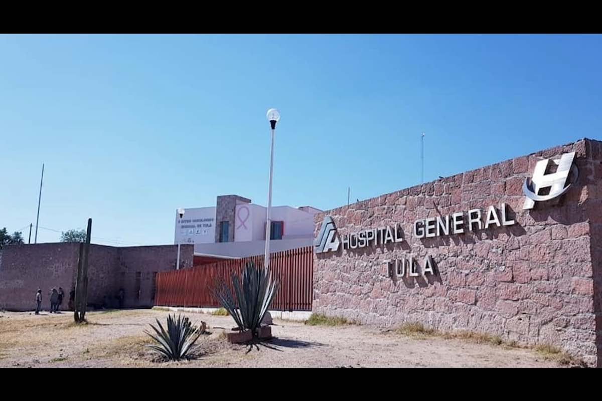 tula-enjambre-ataca-colonos-terminan-hospital
