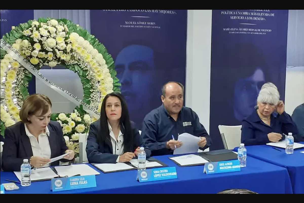 reforma-electoral-mal-planteada-atender-necesidades-pan