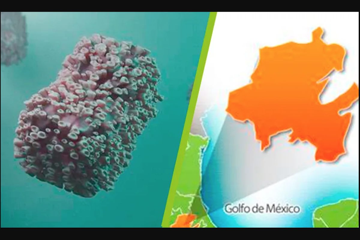 suman-12-casos-confirmados-viruela-del-mono