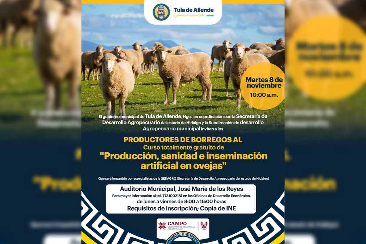 tula-ofrece-capacitacion-ovejas-productores