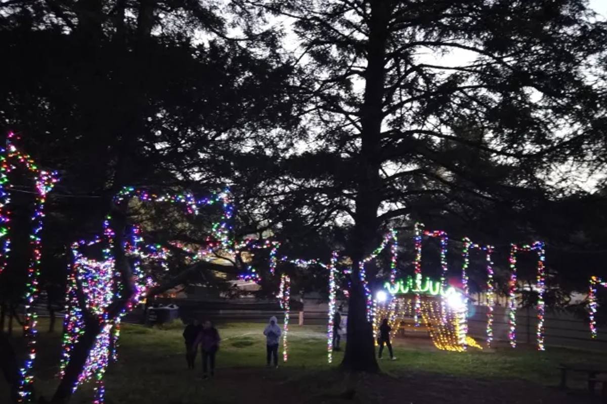 mineral-del-chico-magia-navideña-bosque