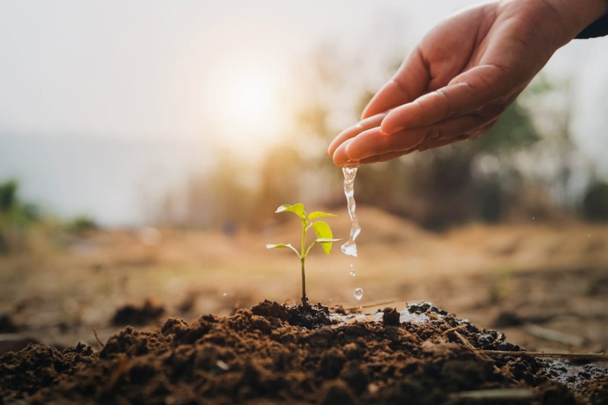 organizacion-meteorologica-mundial-personas-agua