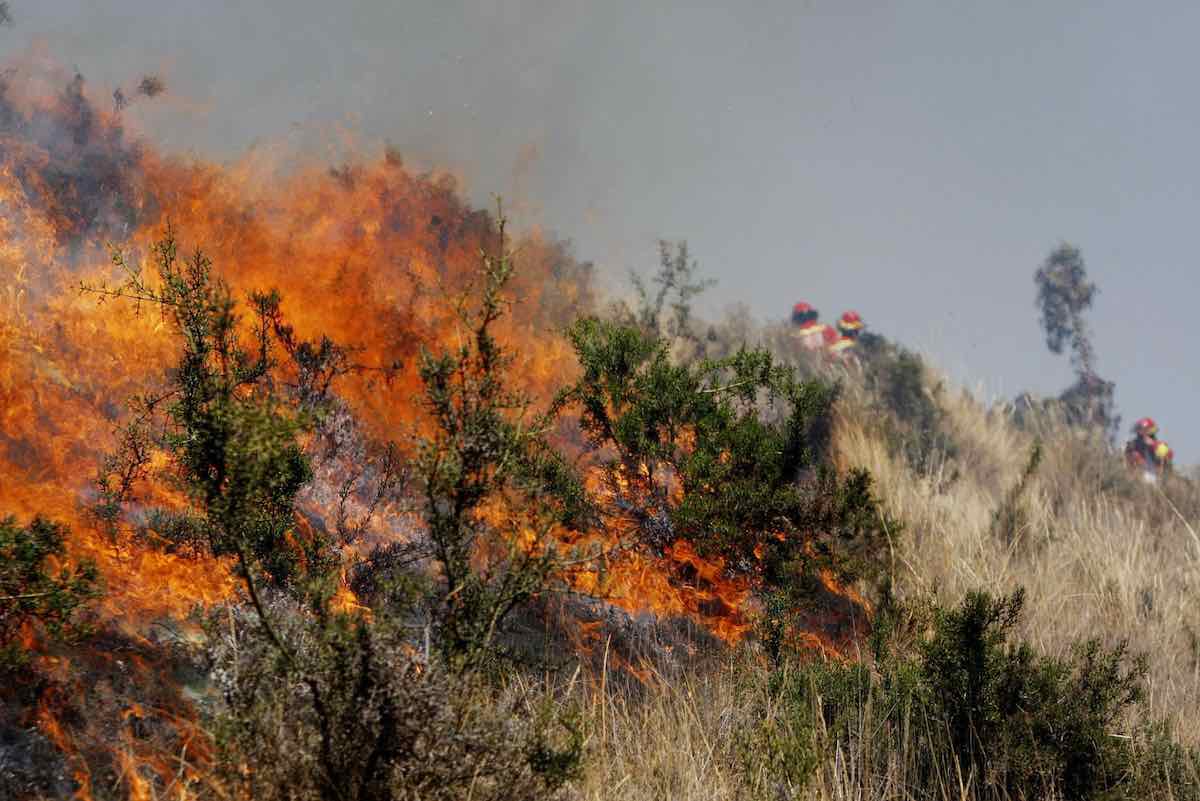 hidalgo-estado-entre-mayor-numero-incendios-forestales