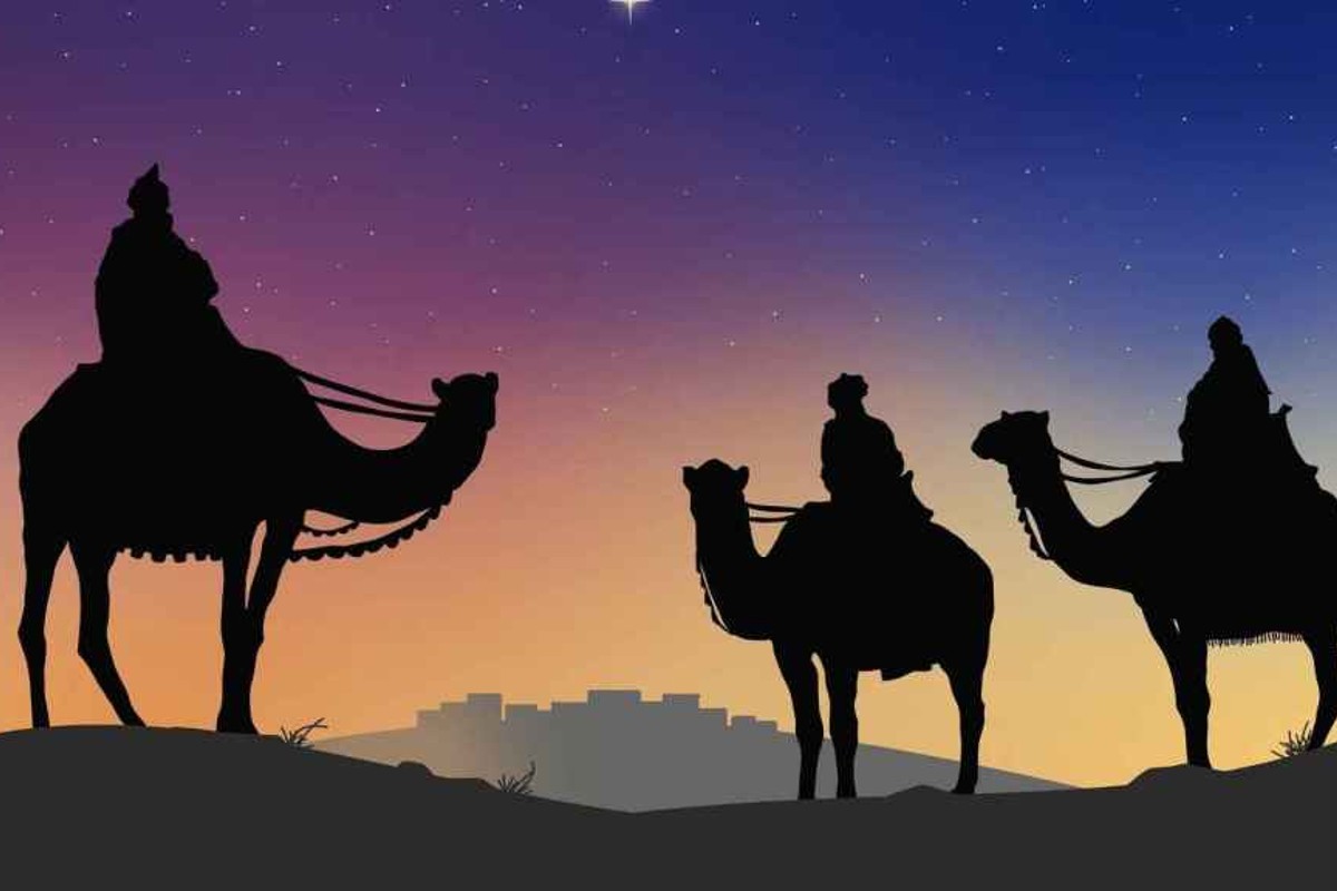 reyes-magos-cdmx-perritos-rescatados