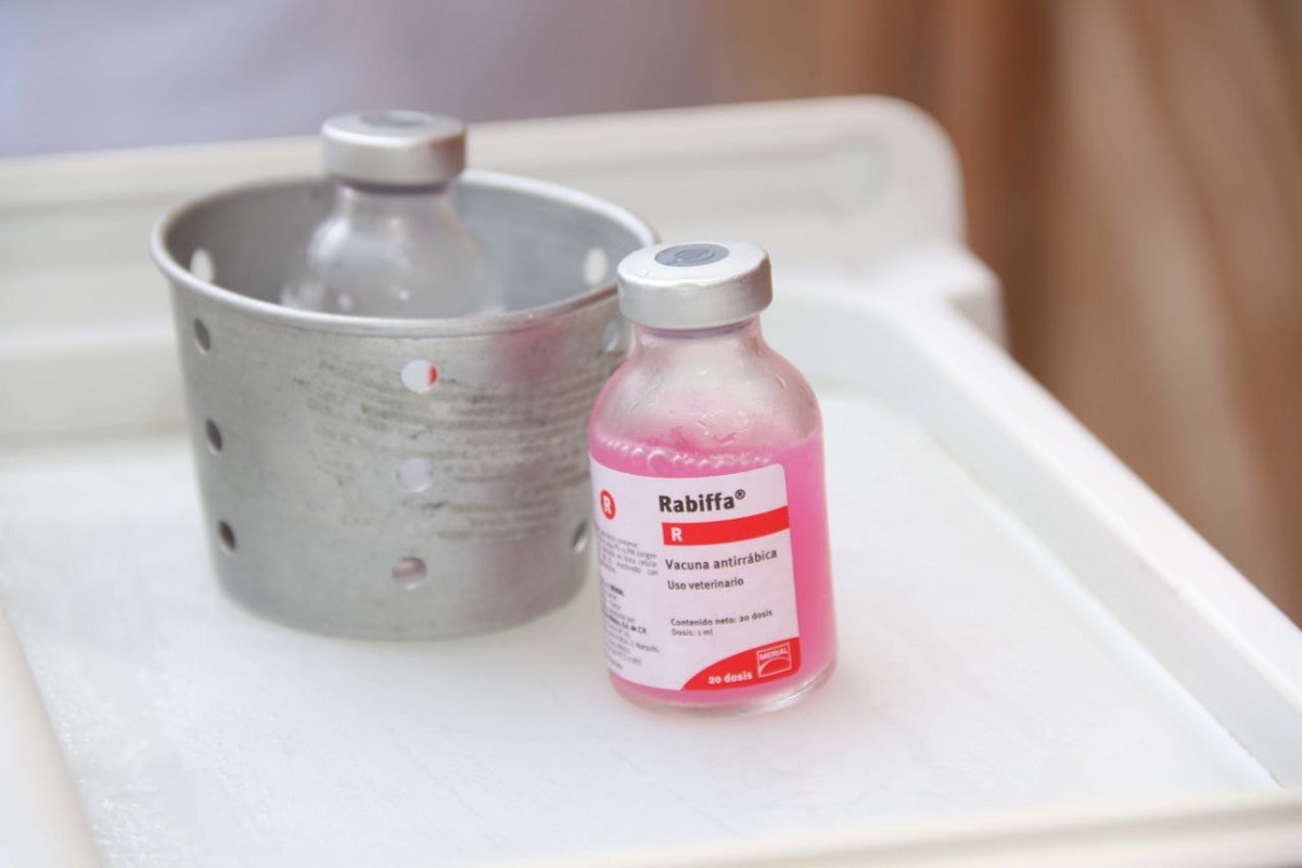 salud-medidas-evitar-casos-rabia-hidalgo