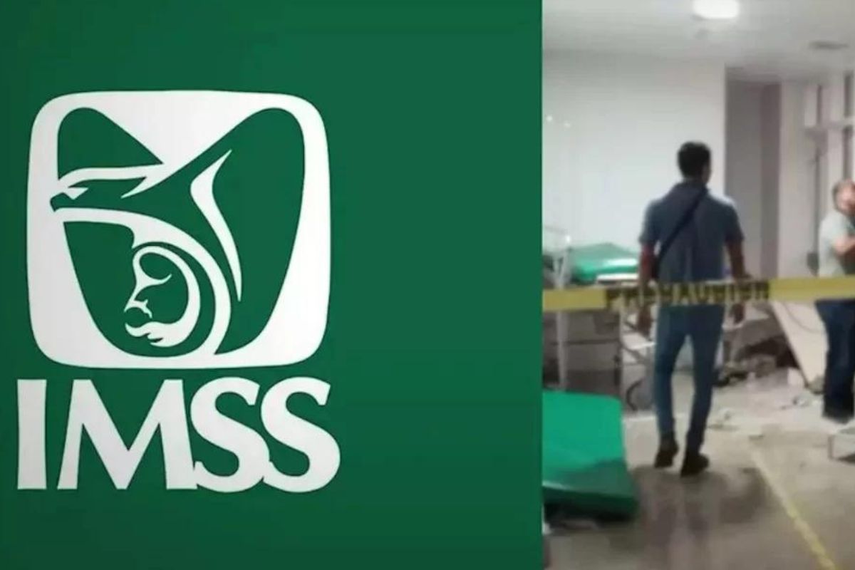 elevadores-imss-mantenimiento-presupuesto
